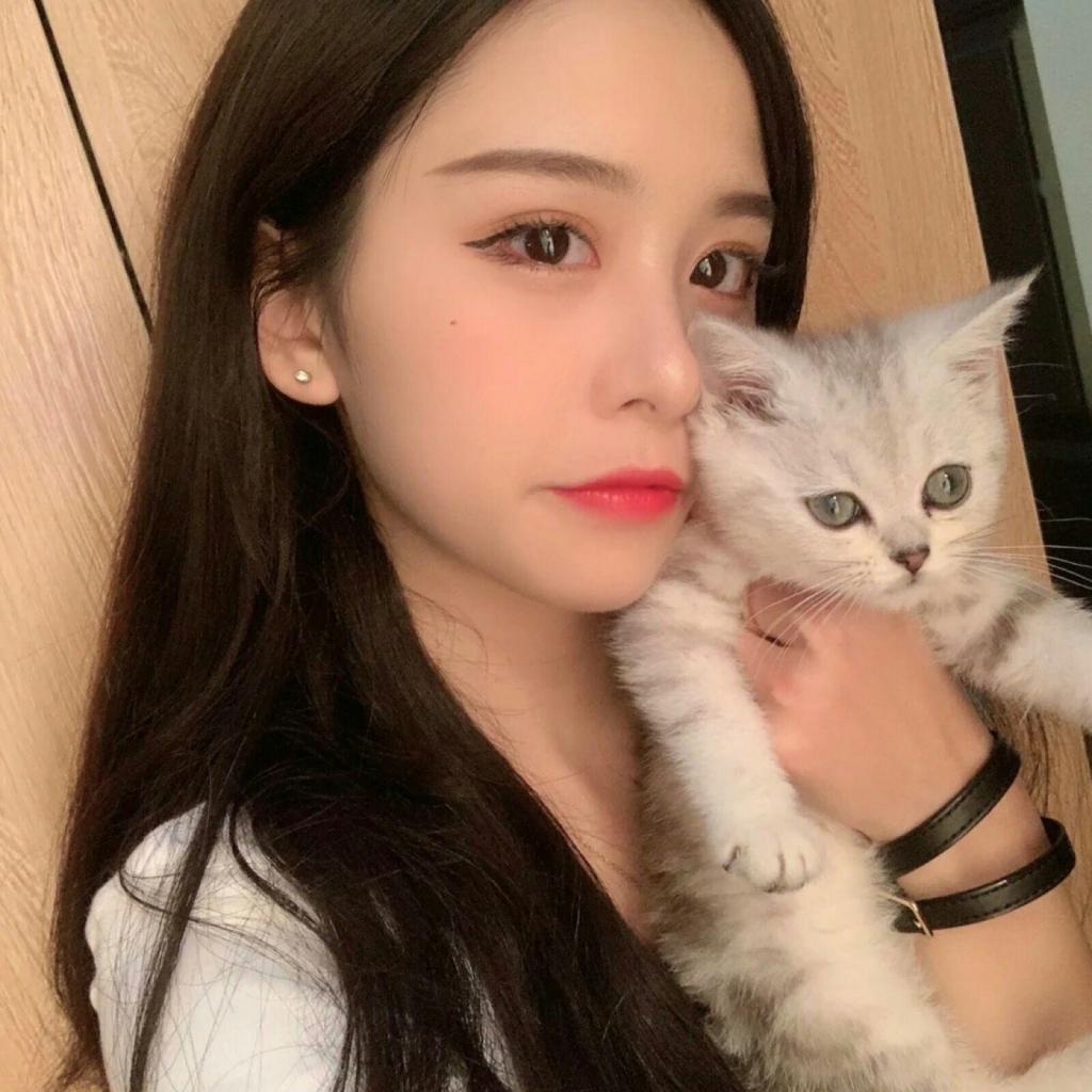 索尼图像传感器工厂项目获日本政府600亿日元补贴